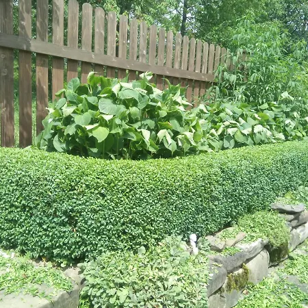 на галіції Holiday home