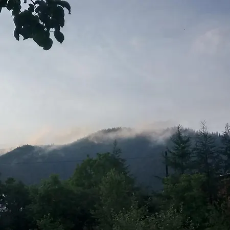 на галіції Beloberezka