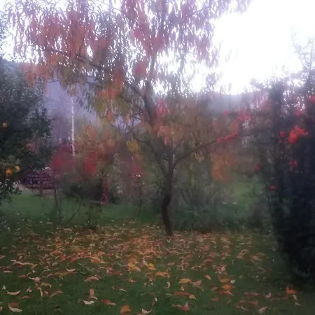 на галіції Beloberezka