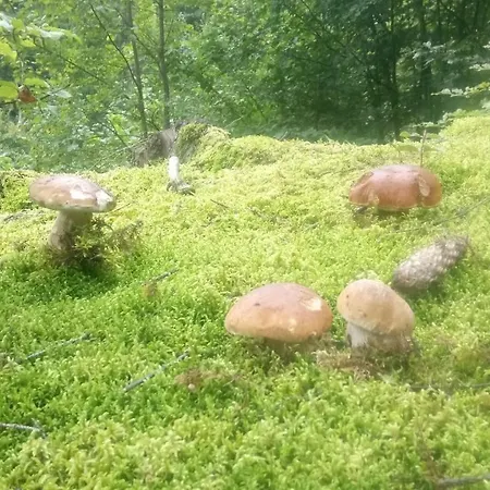 на галіції Holiday home