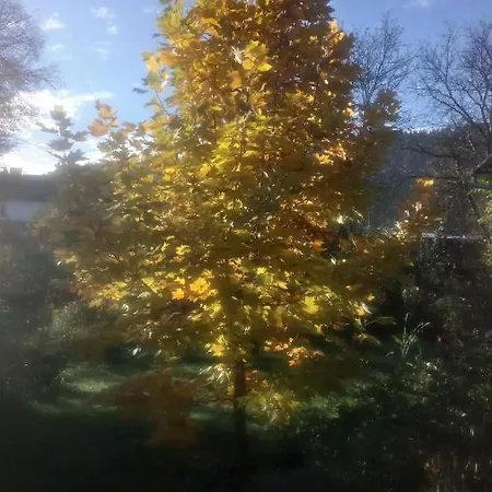 на галіції Beloberezka