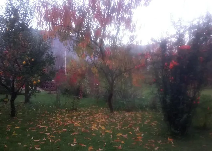 на галіції Biloberizka